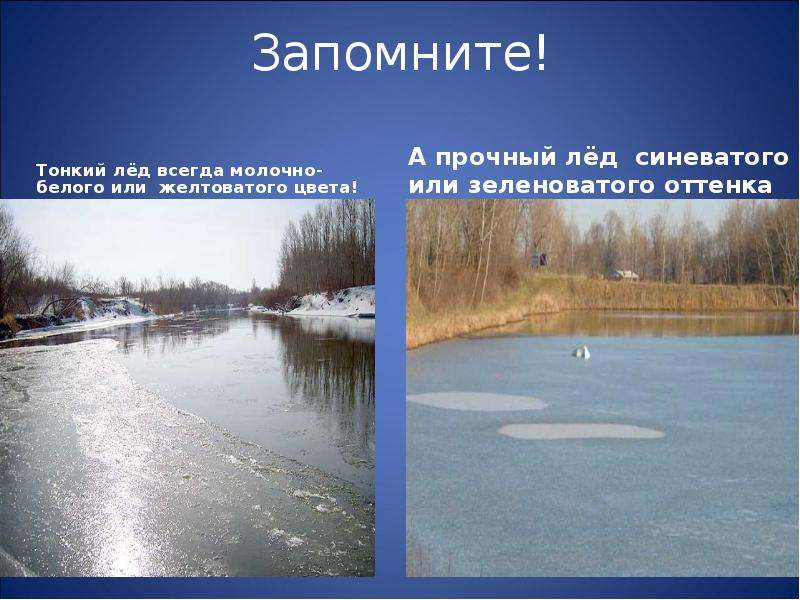 Безопасность на водоемах презентация