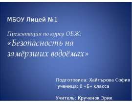 Безопасность на замёрзших водоемах (на льду)
