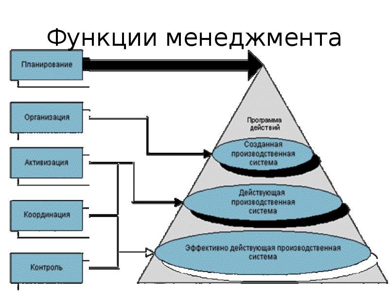 Модель современного менеджера презентация