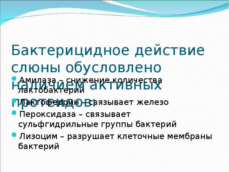 Бактерицидное действие. Бактерицидное действие это действие. Бактерицидное действие слюны. Факторы в слюне бактерицидным.