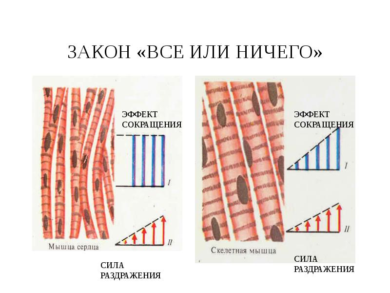 Все или ничего схема