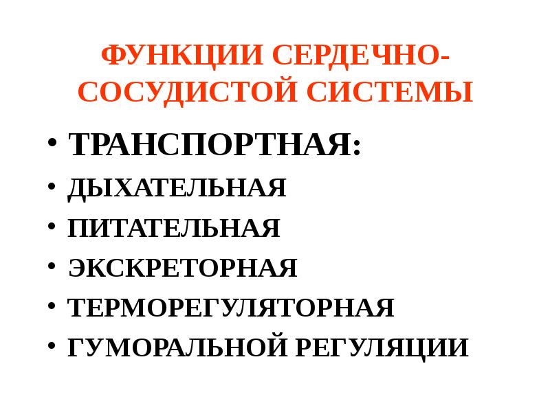 Функции сердечно сосудистой системы