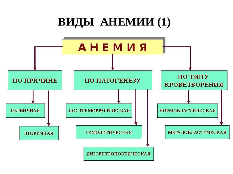 Патология красной крови патофизиология презентация