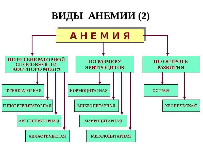 Патология красной крови патофизиология презентация