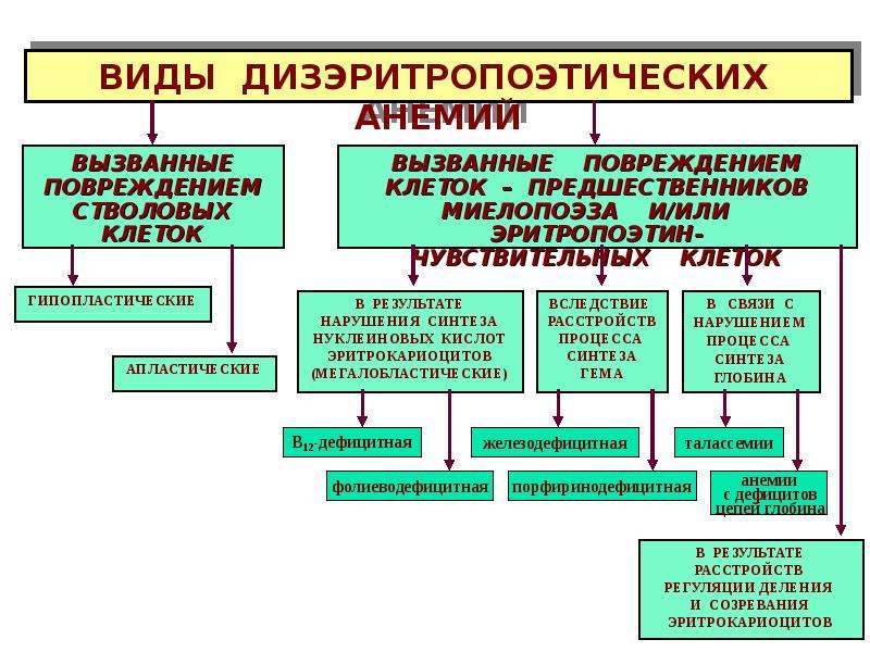 Патология красной крови патофизиология презентация