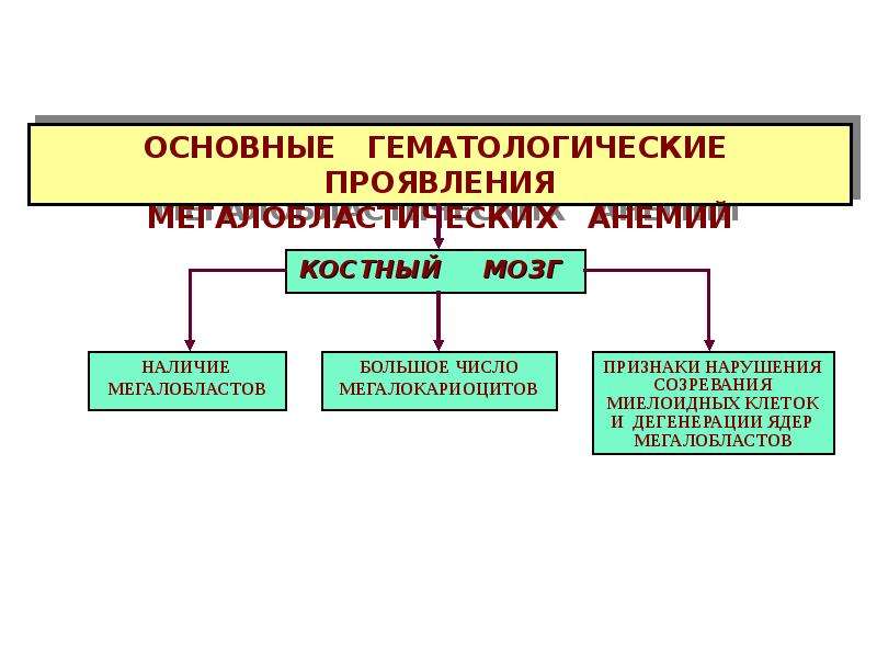 Патология красной крови патофизиология презентация