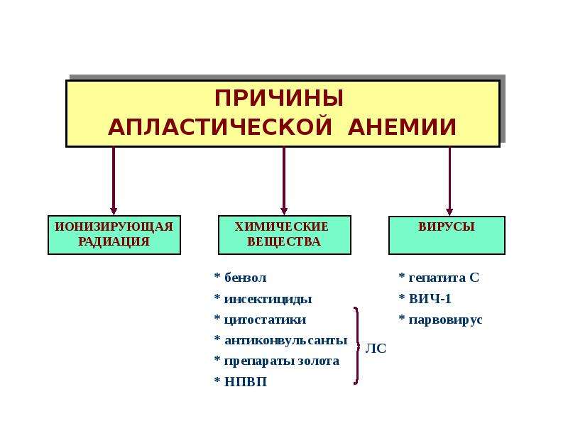 Патология красной крови патофизиология презентация