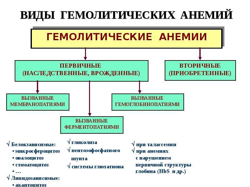 Патология красной крови патофизиология презентация