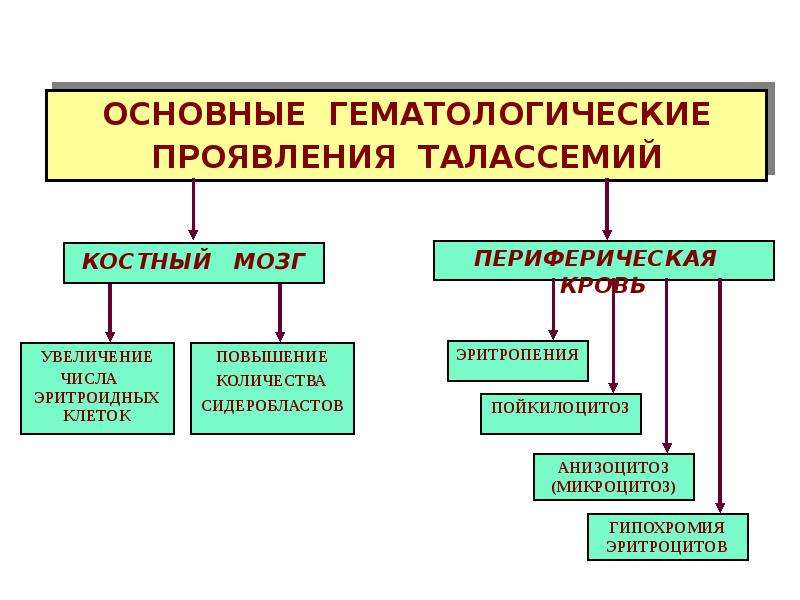 Патология красной крови патофизиология презентация