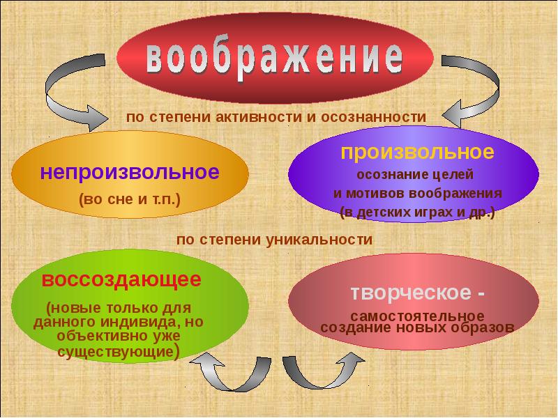 Особенности внд человека речь и сознание познавательные процессы 8 класс презентация