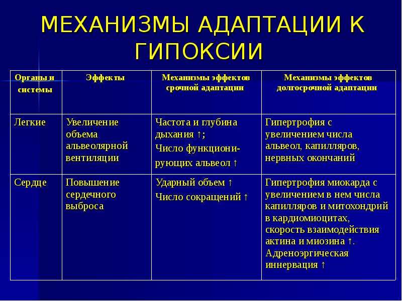 Адаптация организма к гипоксии презентация