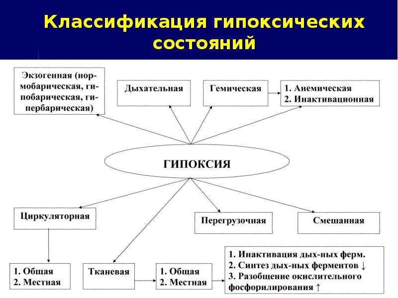 Виды гипоксии схема