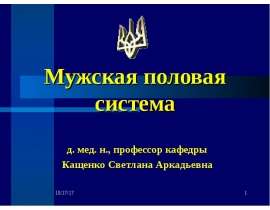 Мужская половая система