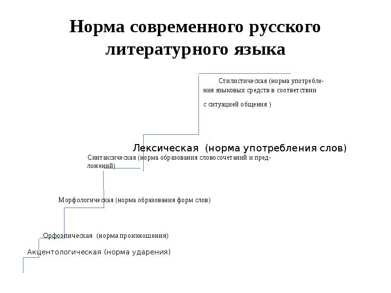 Литературный язык норма стили. Нормы современного русского литературного. Нормы современного русского языка. Система норм современного русского литературного языка. Нормы современного литературного языка.