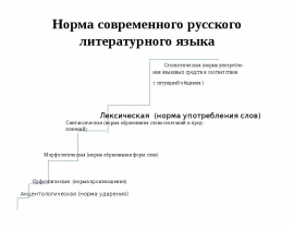Норма современного русского литературного языка