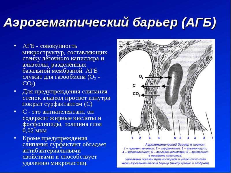 Аэрогематический барьер схема