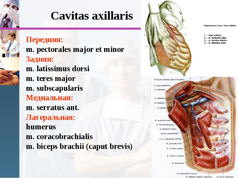 Cavitas axillaris