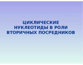 ЦИКЛИЧЕСКИЕ НУКЛЕОТИДЫ В РОЛИ ВТОРИЧНЫХ ПОСРЕДНИКОВ