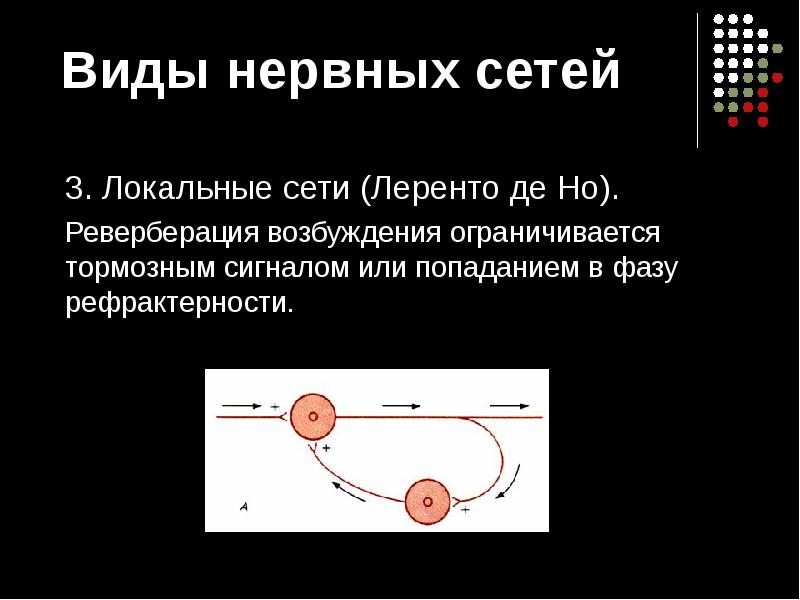 Реверберация это. Реверберация возбуждения в ЦНС физиология. Реверберация возбуждения в нервной сети по Лоренто-де-но;. Реверберация схема физиология. Реверберация нервных центров.