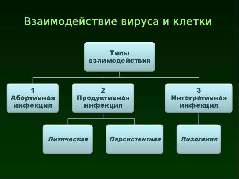 Возникновение вирусологии как науки презентация