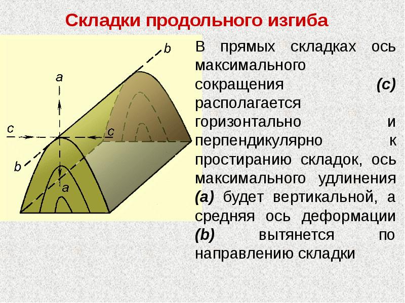 Шарнир складки это