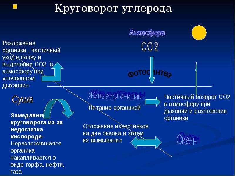 Круговорот кислорода в биосфере схема