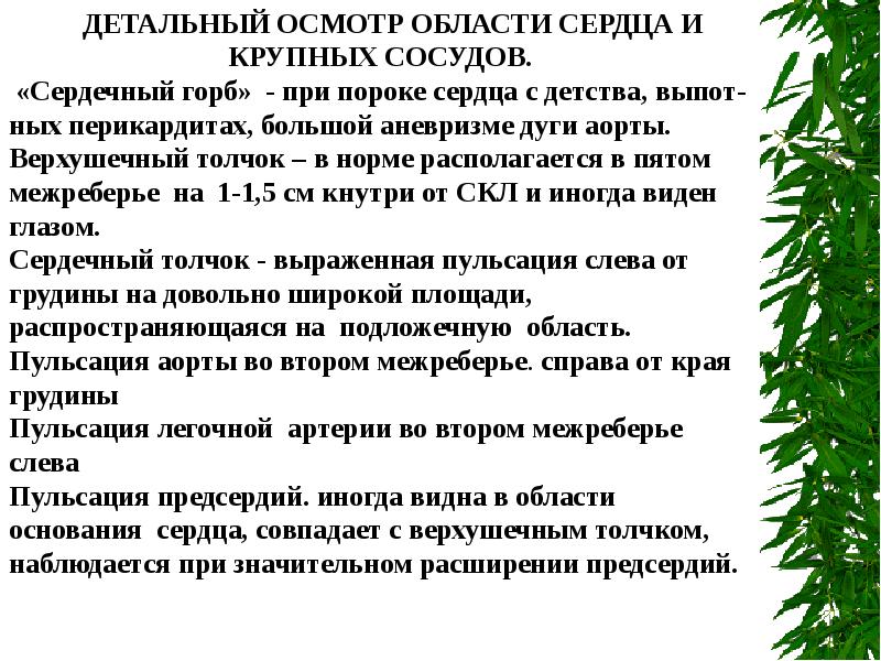 Детальный осмотр. Осмотр области сердца и крупных сосудов. Верхушечный толчок в норме расположен. Осмотр области сердца сердечный горб верхушечный толчок в норме. 3. Осмотр области сердца и крупных сосудов..