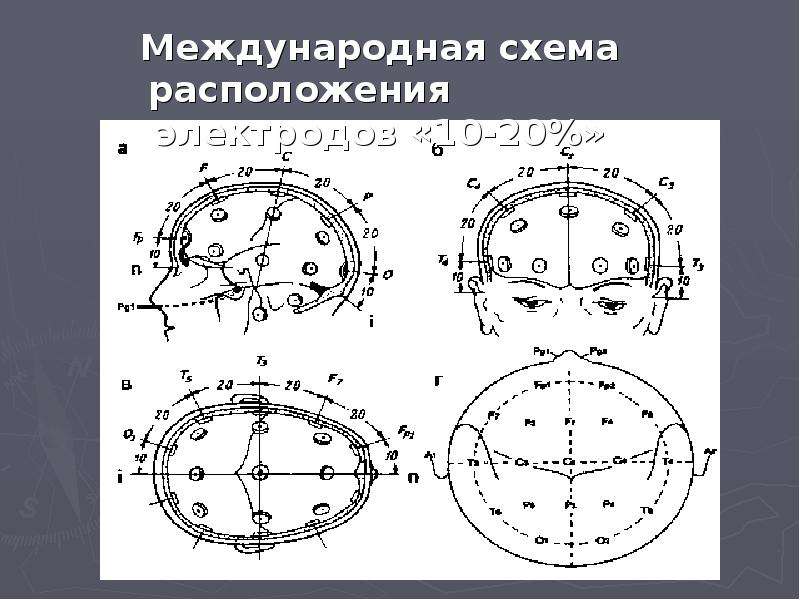 Международная схема. Международная система расположения электродов 10 20. Расположение электродов 10-20. Международная система 10-20. Модель электрической активности органов.