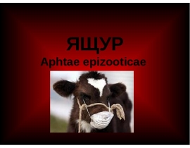 ЯЩУР Aphtae epizooticae