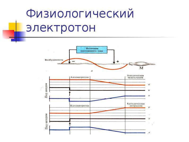 Физиологический физический. Физиология возбудимых тканей физиологический электротон. Закон физиологического электротона физиология. Катэлектротон и анэлектротон. Физический электротон физиологический электротон.