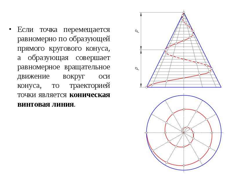 Образующая линия в рисунке