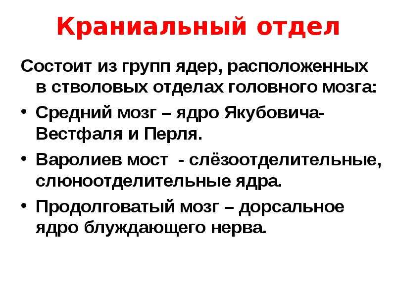 Краниальный это. Краниальный это в анатомии. Краниальная часть. Краниальный отдел. Ядра краниального отдела.