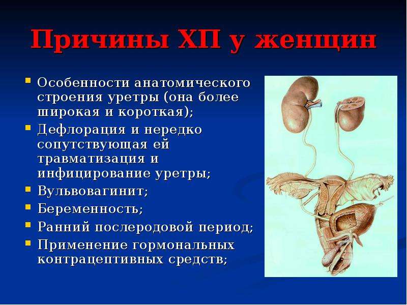 Острый и хронический пиелонефрит презентация