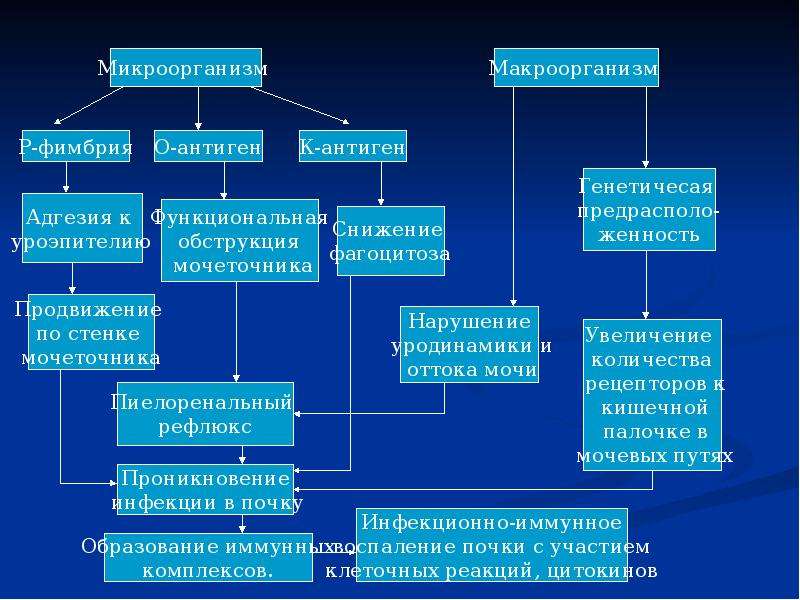 Схема диспансеризации с хроническим пиелонефритом