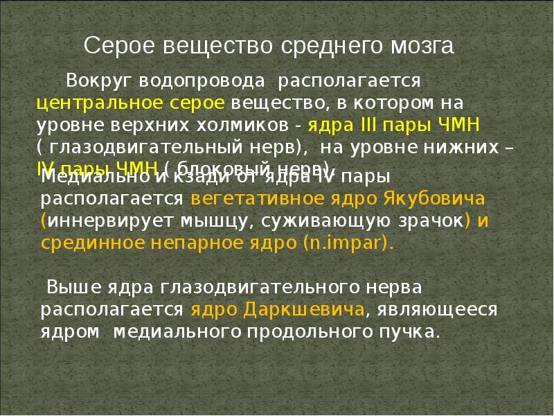 В сером веществе происходит. Ядра в Центральном сером веществе среднего мозга. Центральное серое вещество функции. Центральное серое вещество среднего мозга функции. Функции серого вещества.