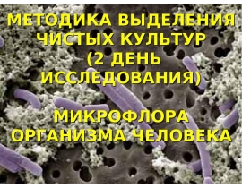 Микрофлора организма человека