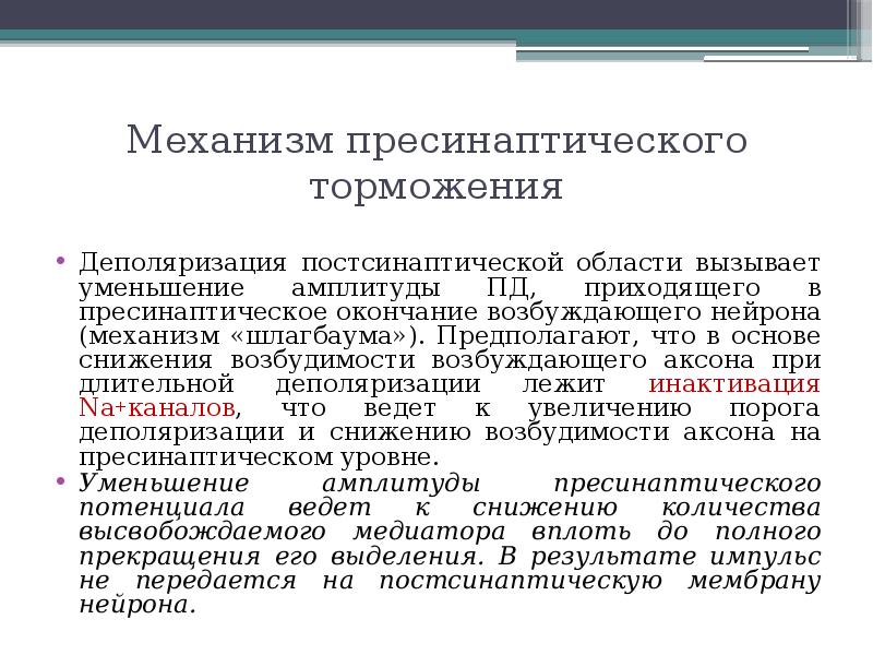 Механизм реферат. Механизм пресинаптического торможения. Торможение длительная деполяризация. Нейронные механизмы внимания. Почему в пресинаптическом торможении вызывается деполяризация.