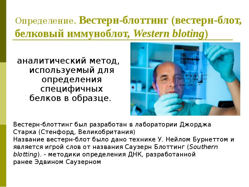 Вестерн блот анализ используется для определения в образце