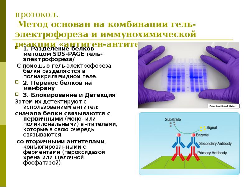 Метод шел