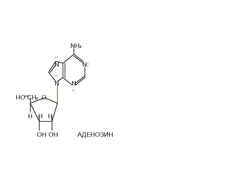 Состав аденозина отражается схемой