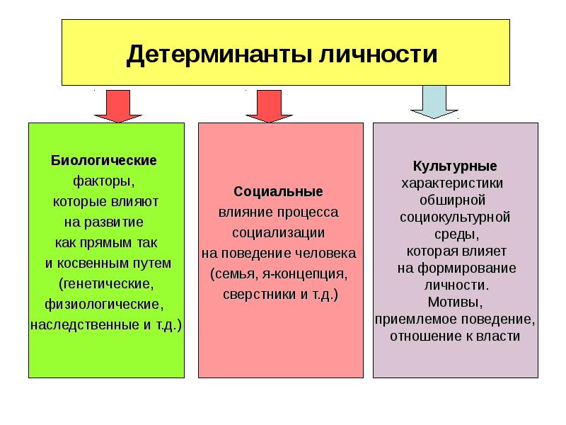 Не относится к схеме динамики процесса детерминации поведения личности