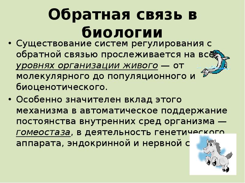 Наличие биологический. Принцип обратной связи биология. Обратные связи это в биологии. Примеры положительной обратной связи в биологии. Система с положительной обратной связью в биологии.