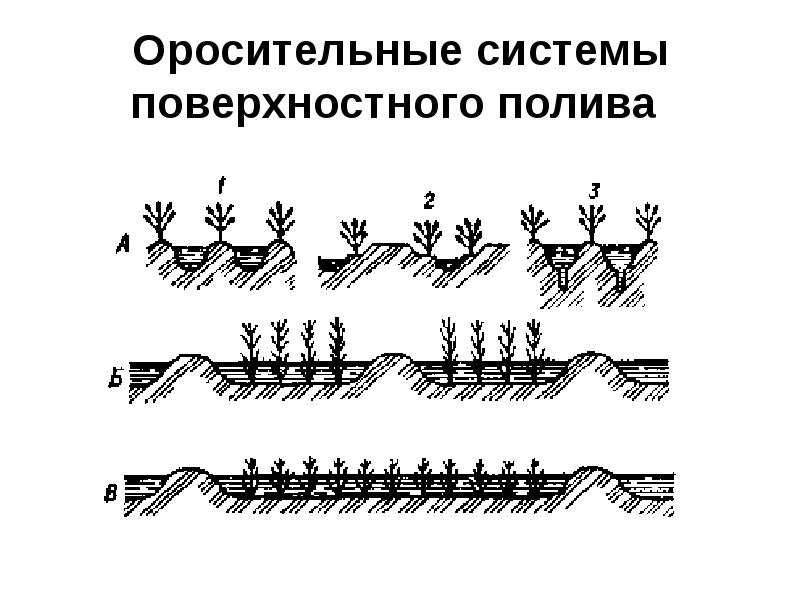 Схема оросительной сети