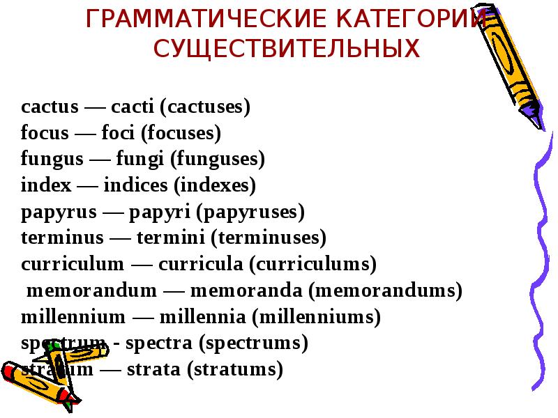 Грамматические категории существительных