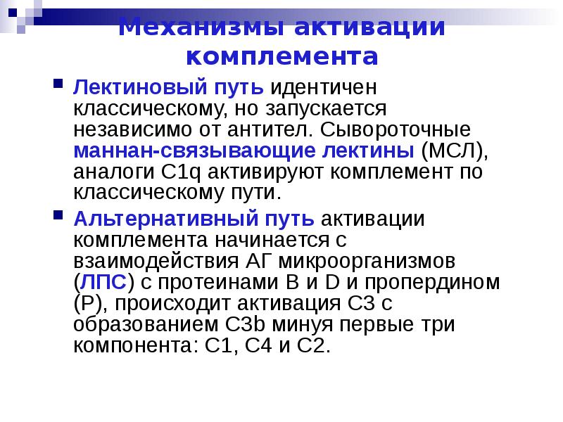 Лектиновый путь активации комплемента. Лектиновый путь активации комплемента иммунология. Активация системы комплемента по лектиновому пути. Система комплемента лектиновый путь. Классический путь активации системы комплемента схема.