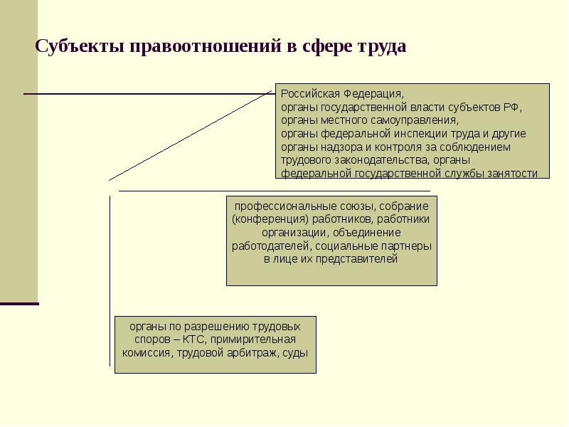 Трудовое право проект