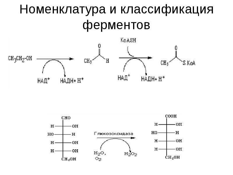 Оба фермента. Принципы классификации и номенклатуры ферментов. Номенклатура и классификация ферментов биохимия таблица. Принципы номенклатуры и современной классификации ферментов. Номенклатура ферментов биохимия.