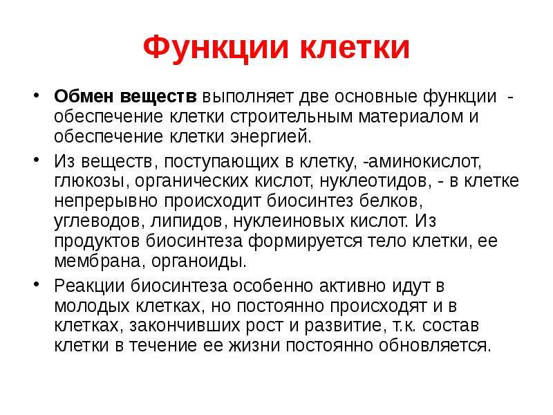 Обеспечение клетки. Функции клетки. Основные функции клетки. Функции клетки кратко. Функции клетки человека кратко.