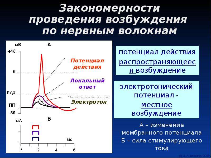 Функция проведения