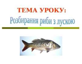 обробка лускатої риби